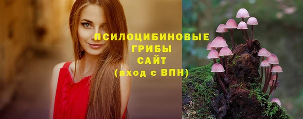 прущая мука Покровск