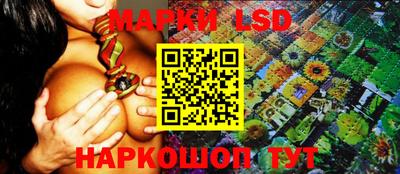 эйфоретик Новокубанск