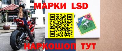 a pvp Новодвинск