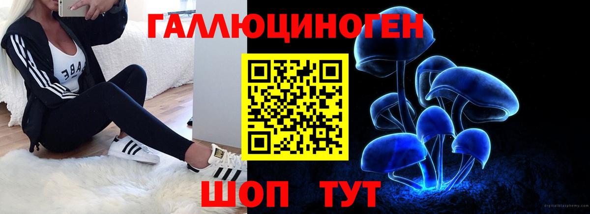 Троицк  Псилоцибиновые грибы Cubensis  Псилоцибиновые грибы MAGIC MUSHROOMS  Вход с VPN 